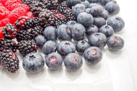 Berry sweet blueberry photo