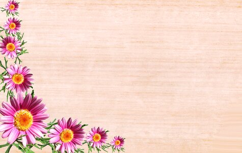 Desktop flower abstract
