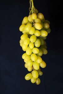 Grapes fruits food photo