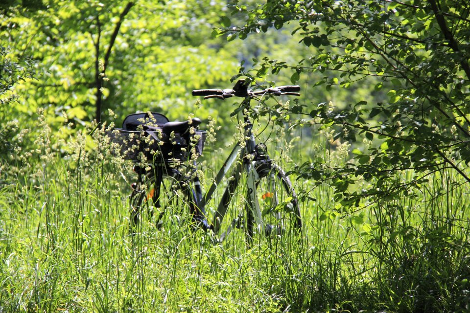 Landscape plant bike