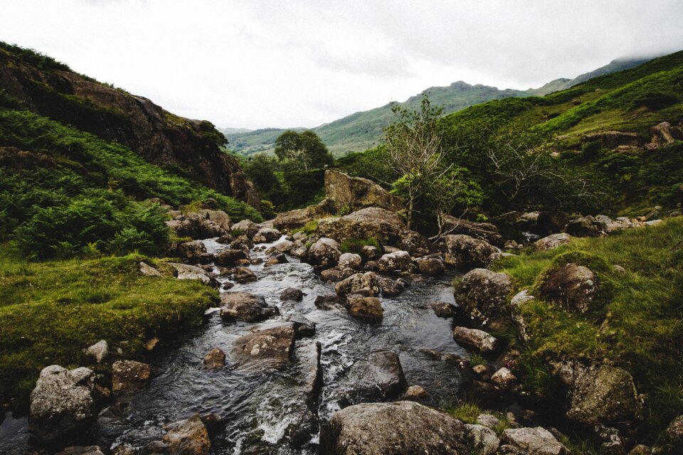 River water nature photo