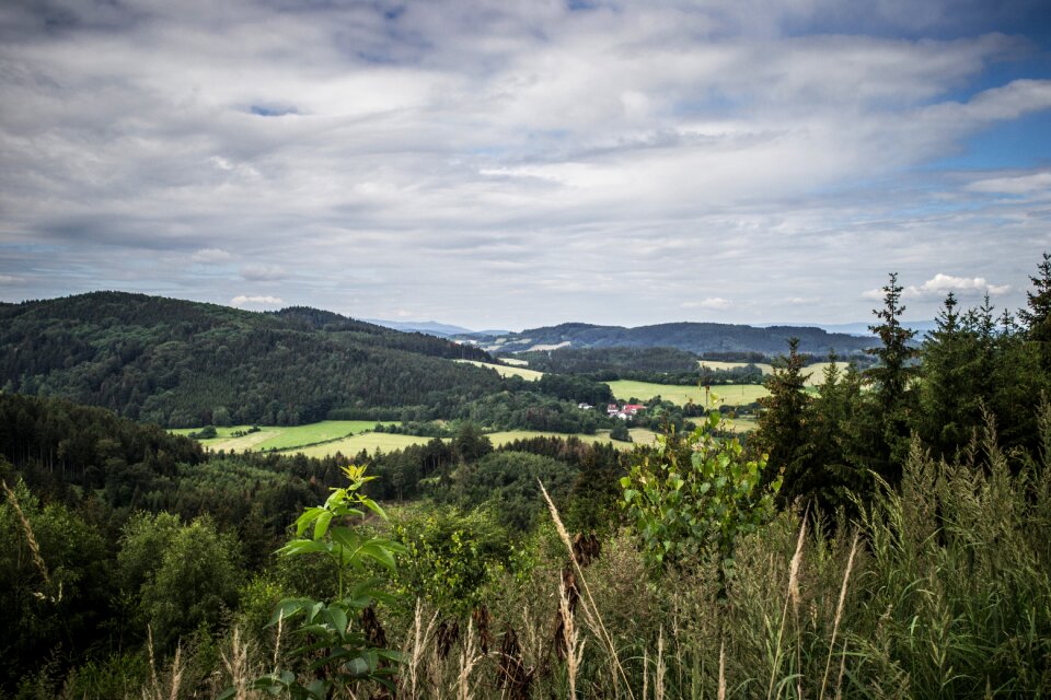 Landscape clouds forest