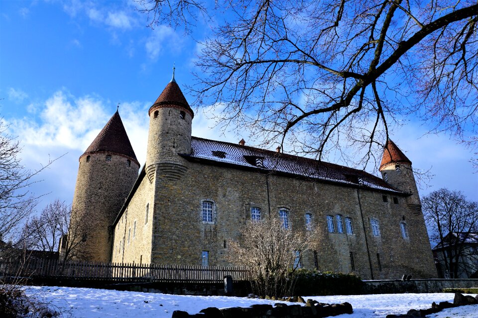 Tree church building