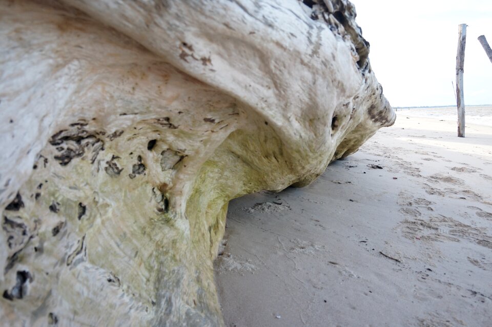 Wood wooden sea