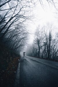 Rain alone road photo