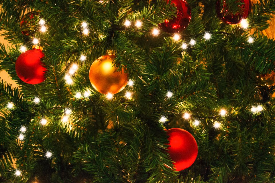 Tree bells christmas lights photo