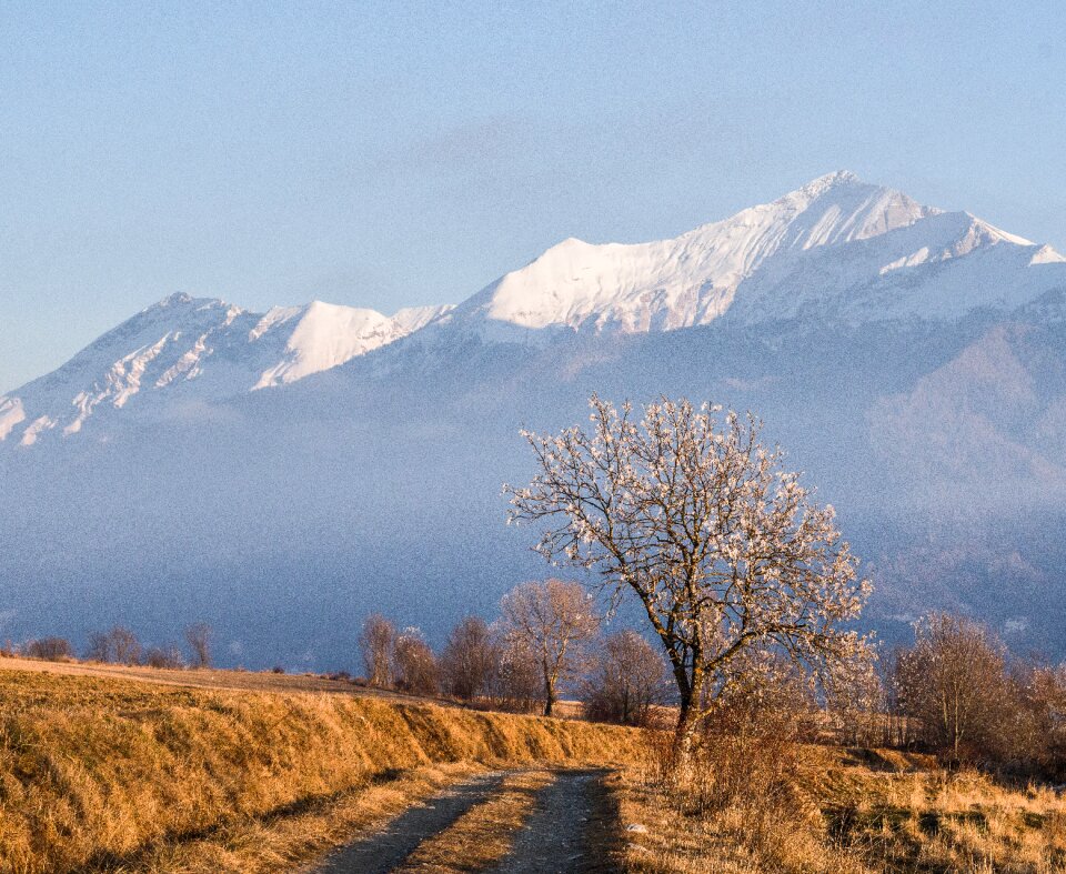 Nature panoramic path