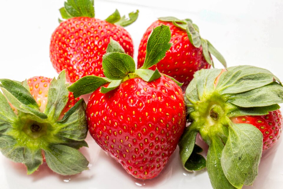 Fruit food leaf