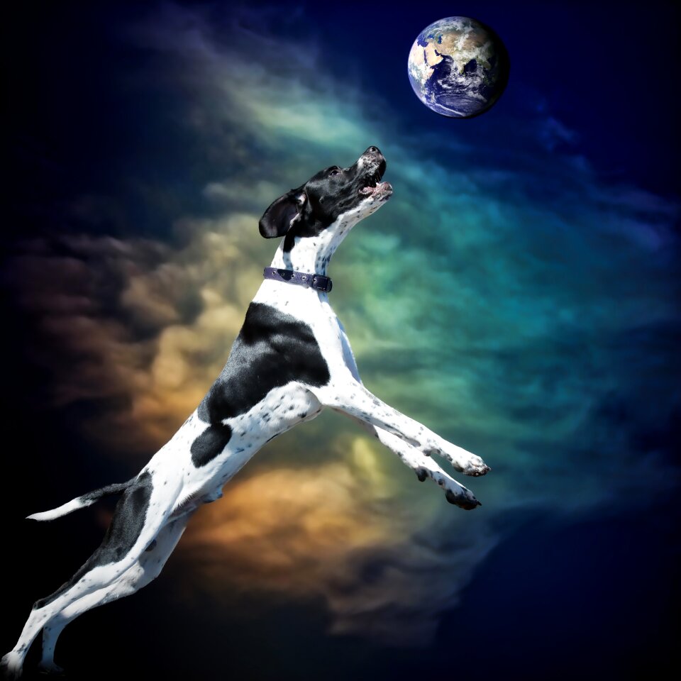 Surreal jump happy