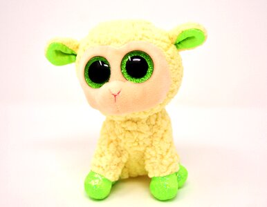 Teddy bear animal world cute