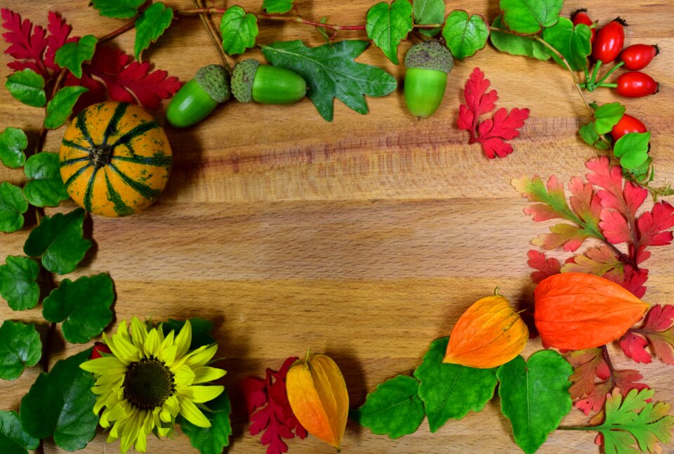 Colorful october autumn decoration