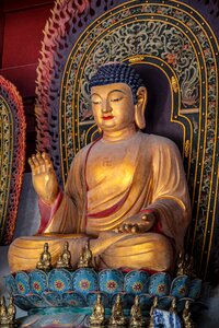 Buddha faith religion