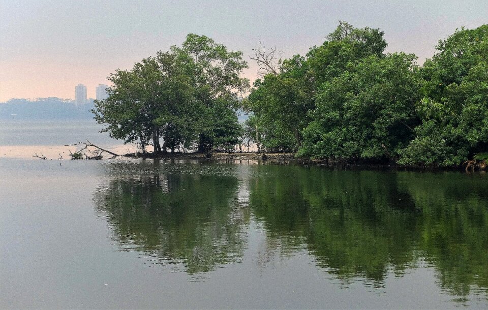 River reflection landscape