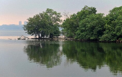 River reflection landscape