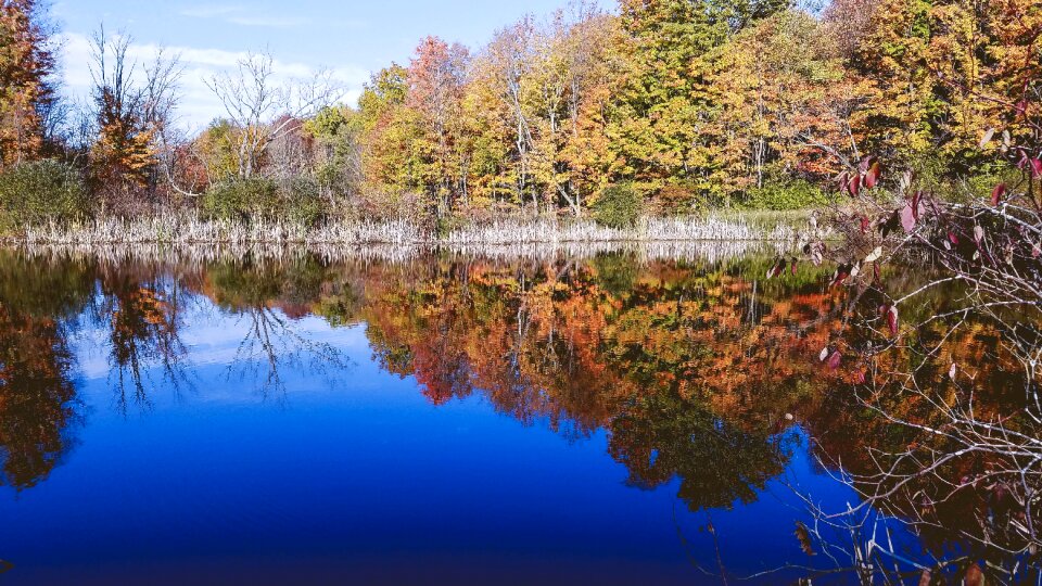 Pond fall lake photo