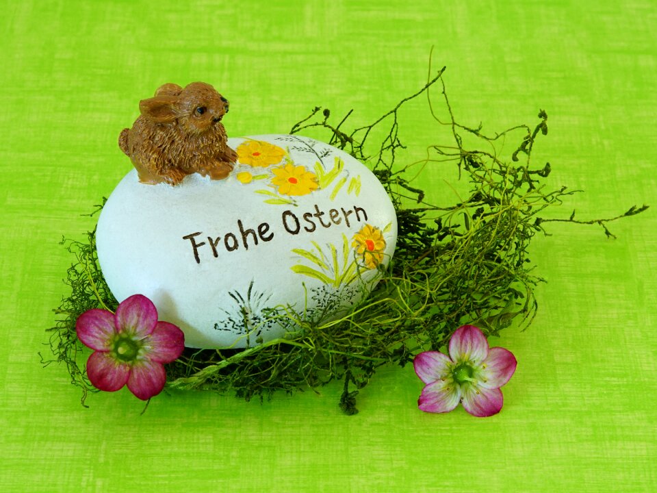 Easter bunny flowers grass
