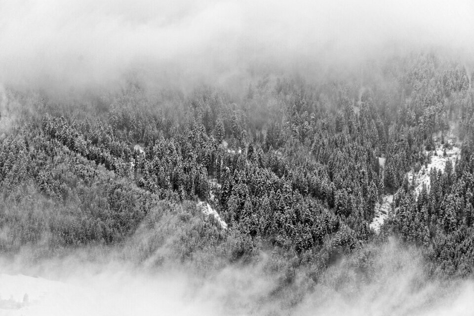 Foggy landscape snow