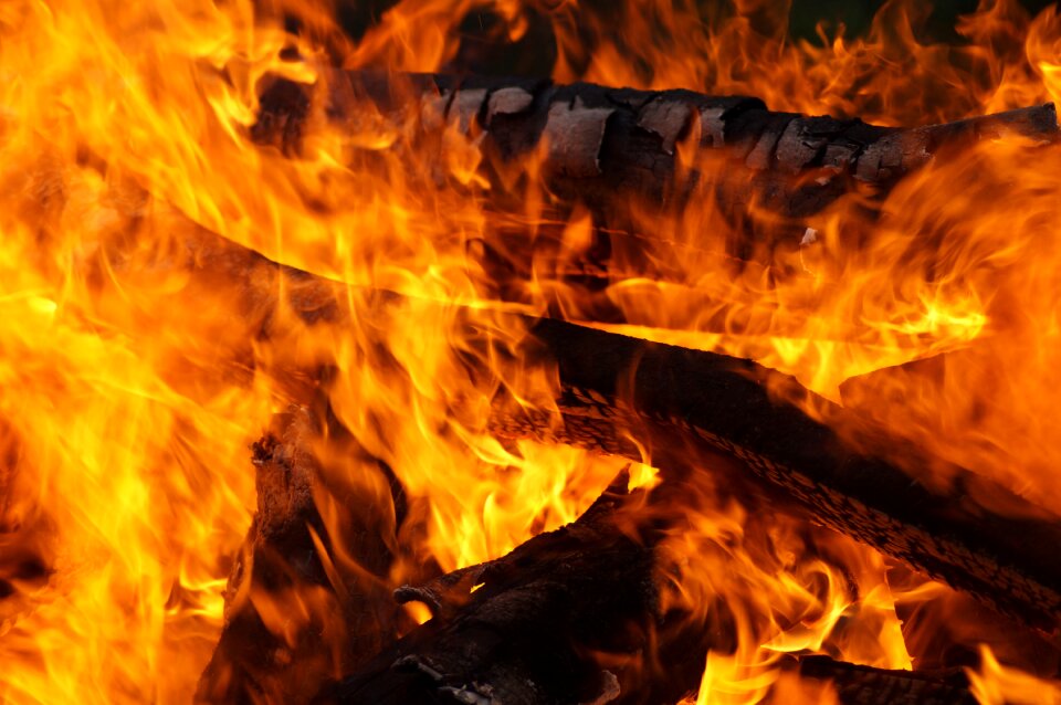 Wood beech wood potato fire