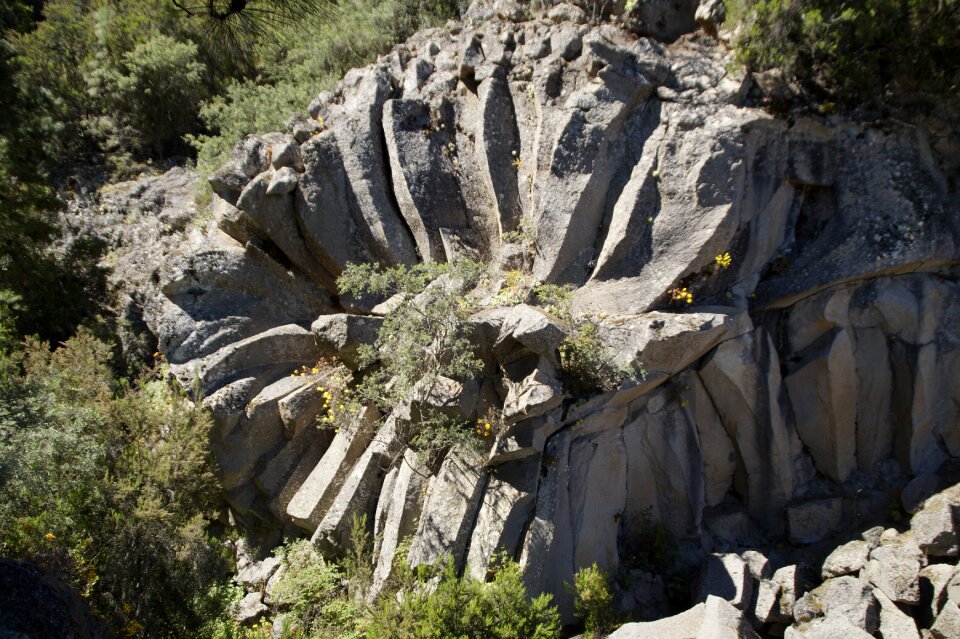 Basalt-rose the orotava valley rock