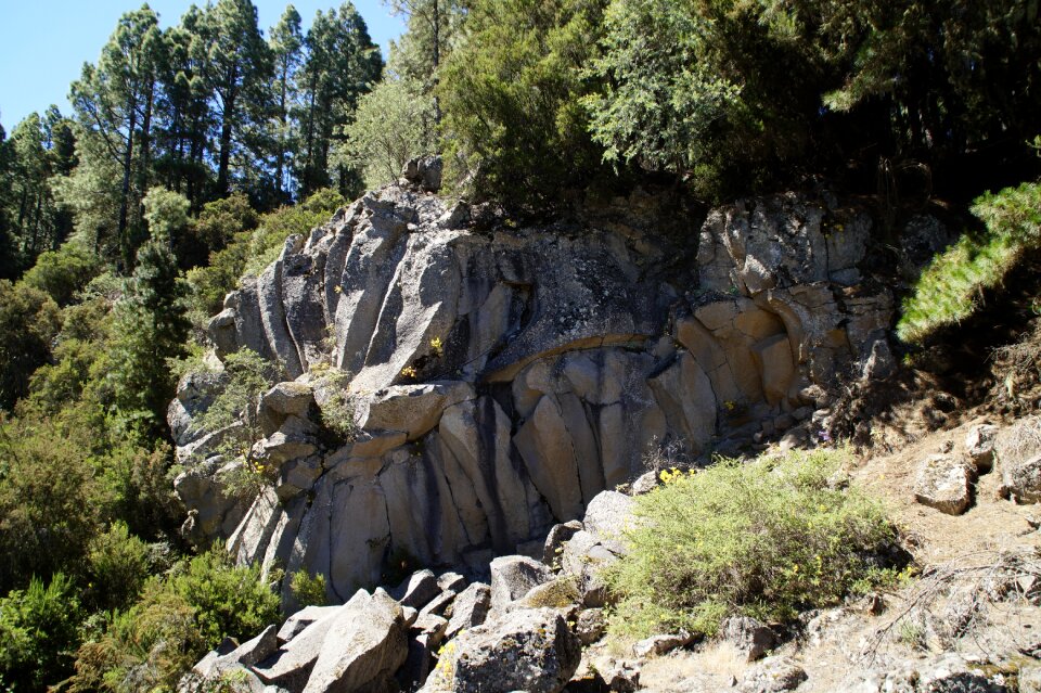 Basalt-rose the orotava valley rock