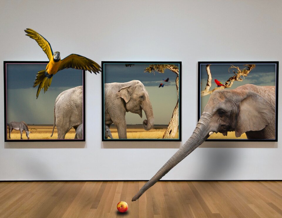 Nature safari elephant