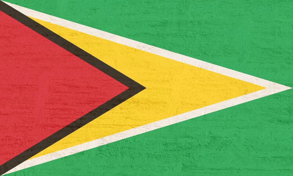 Guyana flag south america