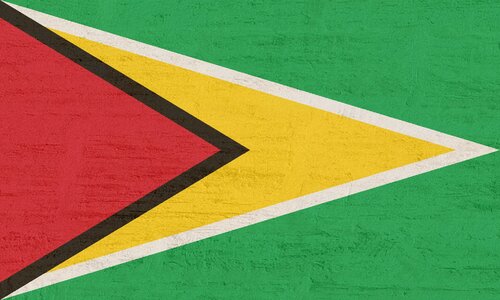 Guyana flag south america photo