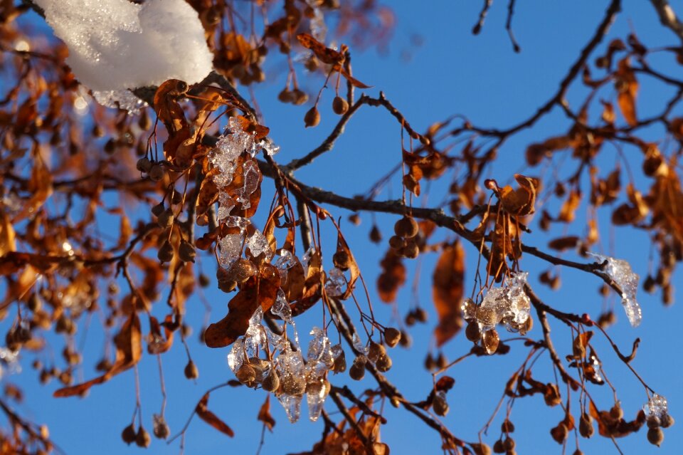 Sky ice lighting