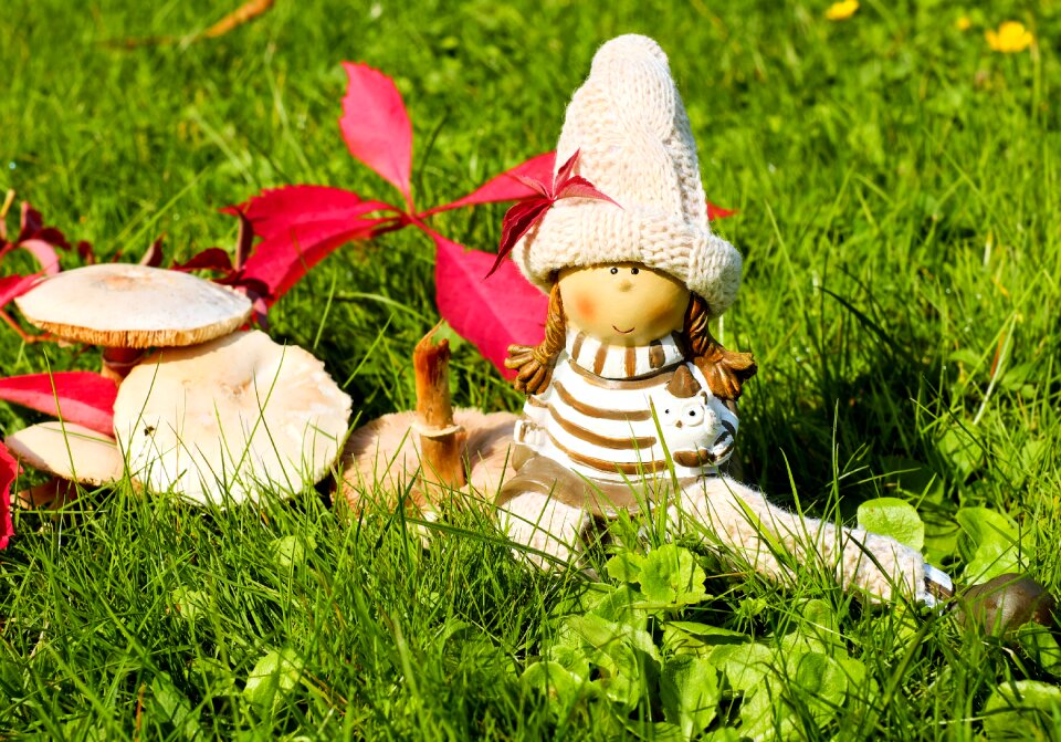 Dreams relax rest