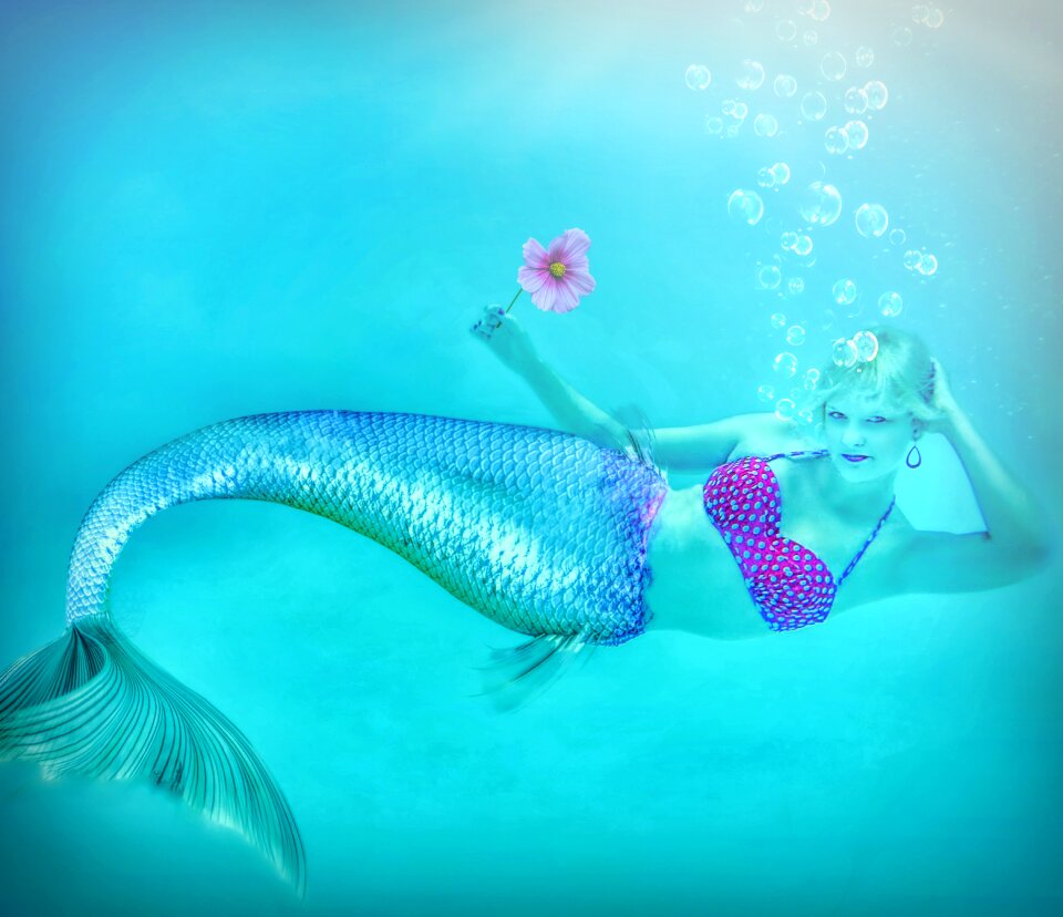 Fish water tropical