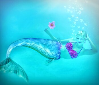 Fish water tropical
