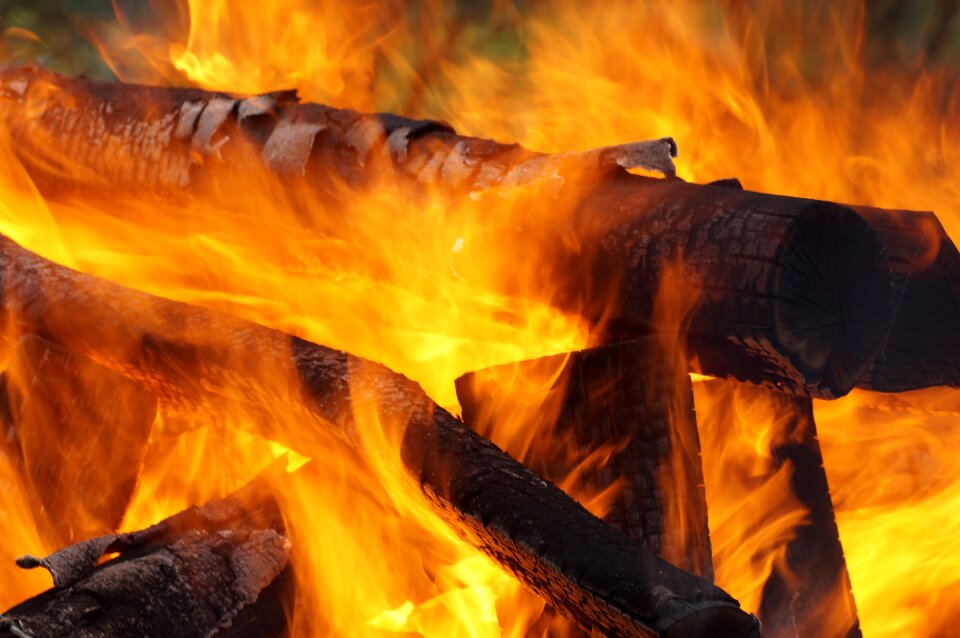 Wood beech wood potato fire