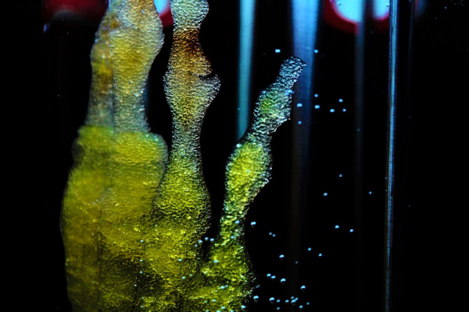 Bioprint technology 3-d printing