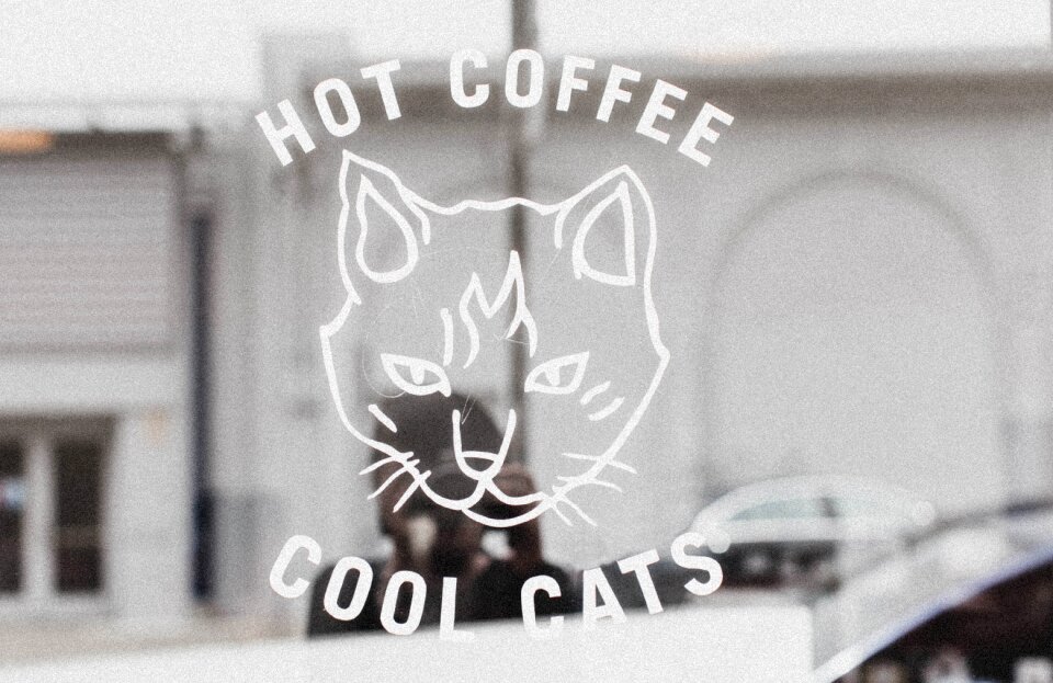 Coffehouse shop cat