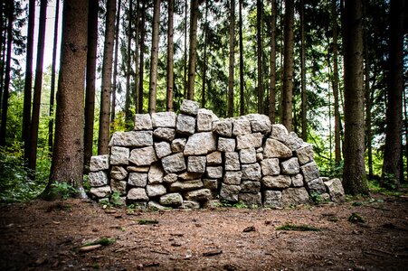 Chunks of granite forest arbitrated photo