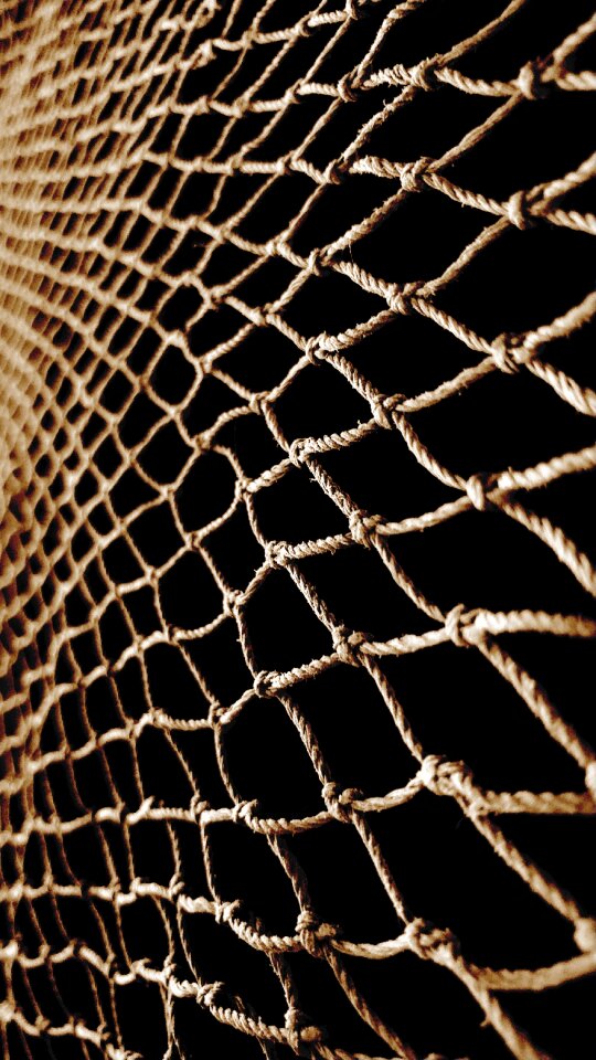 Dark tool brown fish