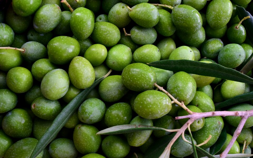 Ripe olives fresh round