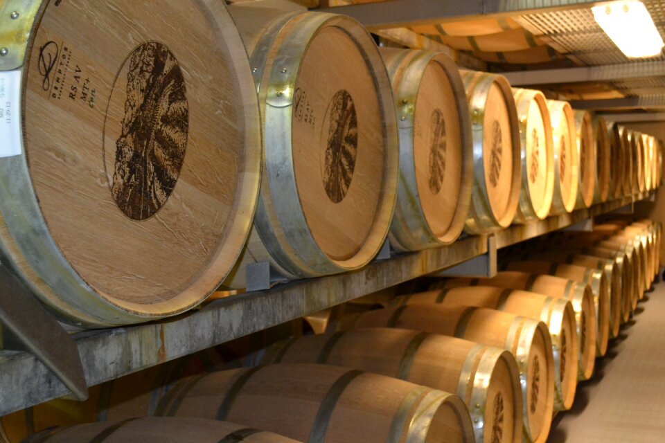 Barrels tasting winery