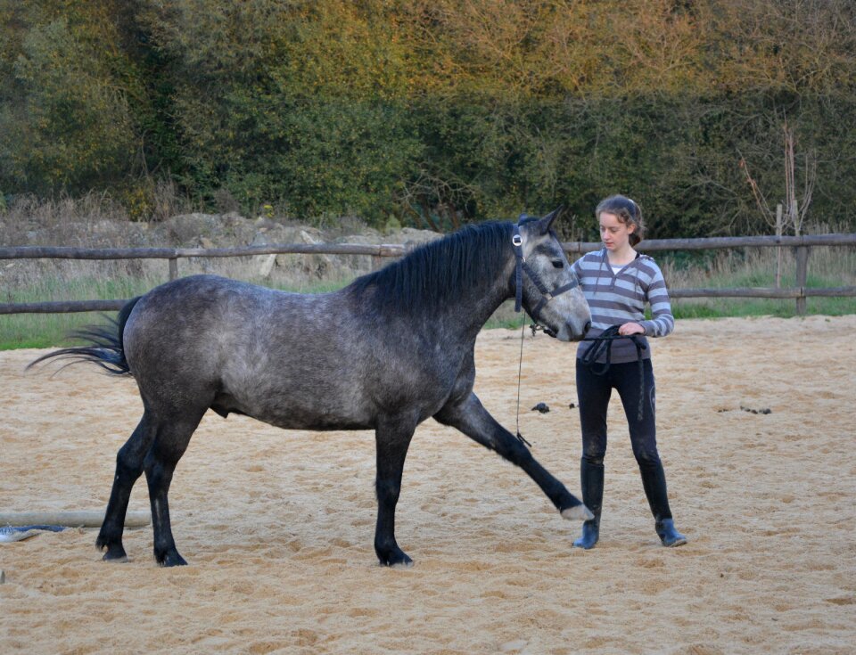 Sport riding exercise playground nature