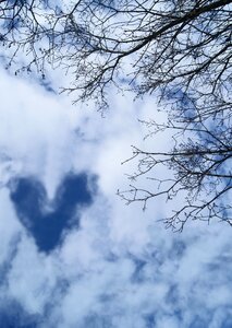 Twig cloud cloudy photo