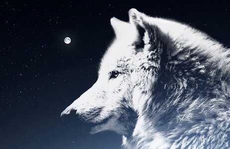 Atmosphere mythology white