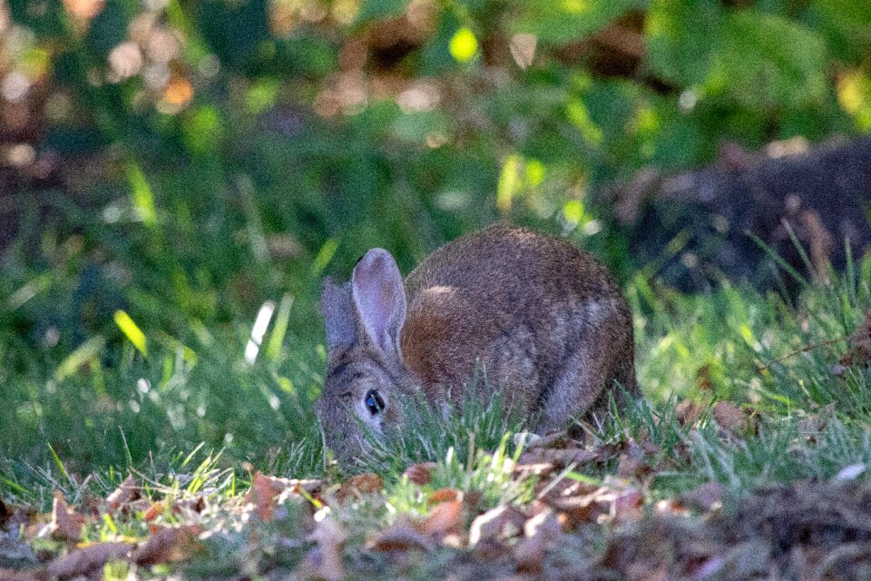 Cute outdoors little