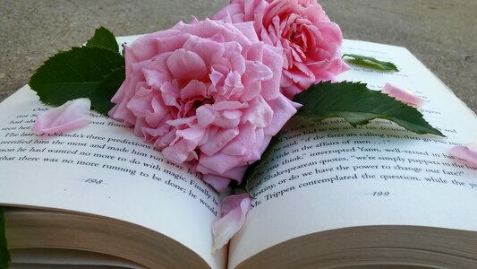 Book flower petals leaves