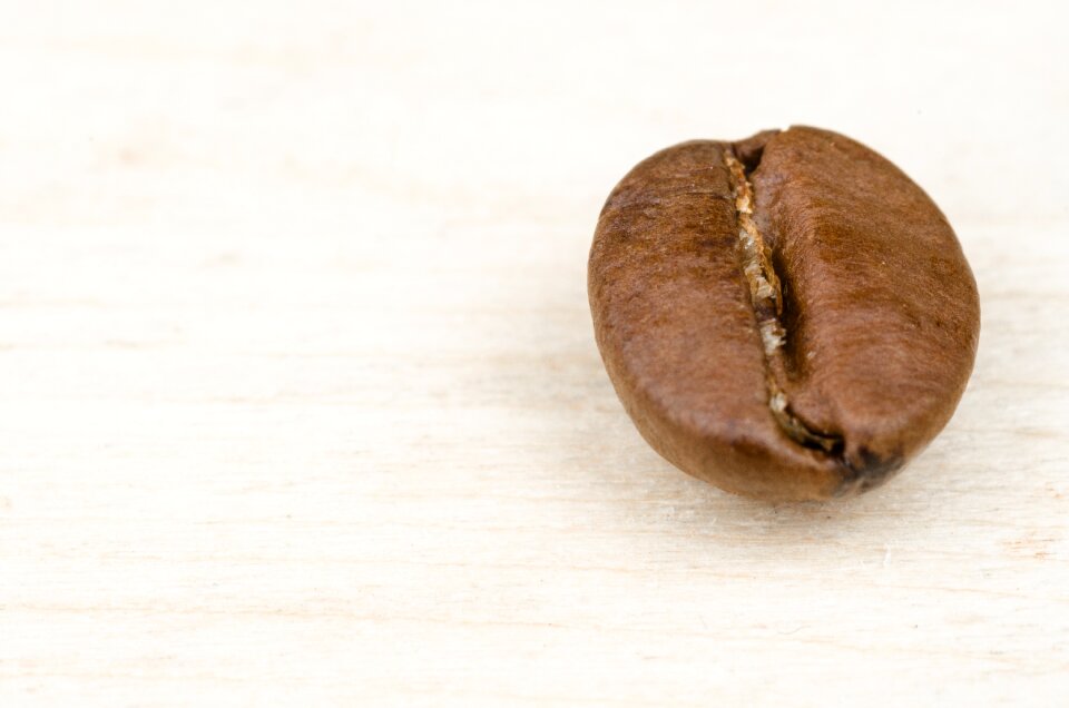 Seed background black