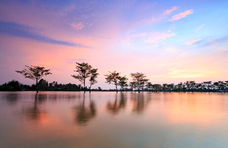 Reflection fields viet nam photo