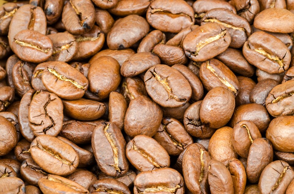 Seed background black