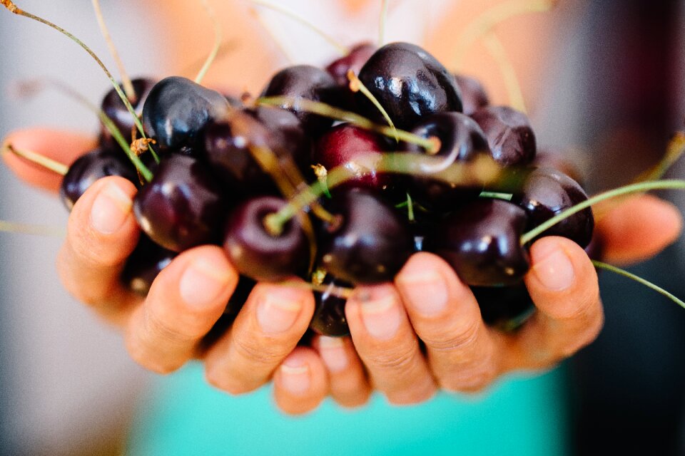 Fruits hands food