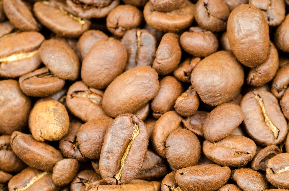 Seed background black