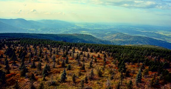Czech republic spruce panorama
