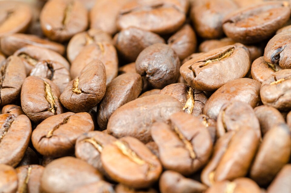 Seed background black
